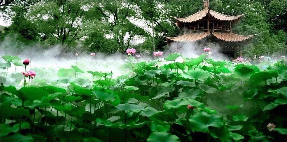 ��Ȼ�˵İ�����ע���ģ�Ϊʲô�ֿ��Ը�����