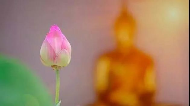 ����о���5��ע�������һһ����