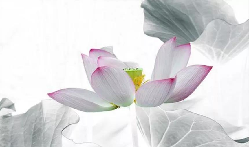 十大经典佛语,你知道多少? 十大经典佛语,你知道多少?