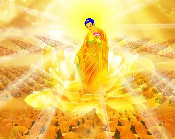 医院里的「生死轮回站」 医院里的「生死轮回站」