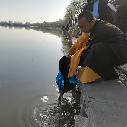 积福慧启建己亥年第四期放生法会!(已圆满) 积福慧启建己亥年第四期放生法会!(已圆满)