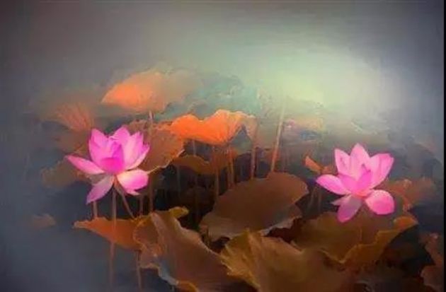 净土宗的修学者一生就是追求一件事情——感应道交 净土宗的修学者一生就是追求一件事情——感应道交