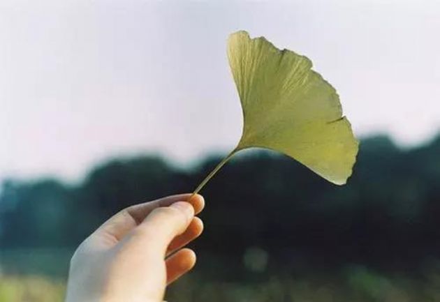 虚云老和尚为初学佛者“把脉”:放下来便是! 虚云老和尚为初学佛者“把脉”:放下来便是!