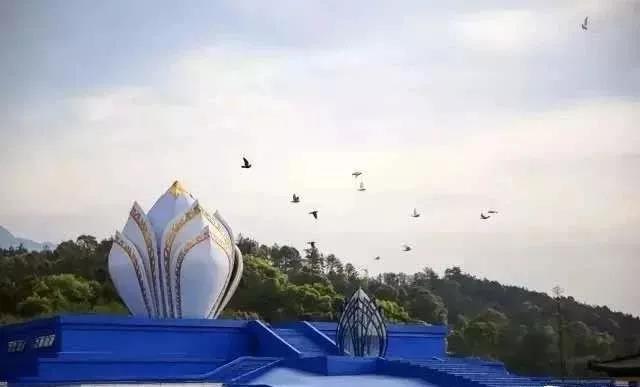 朝朝从佛起,天天伴佛眠 朝朝从佛起,天天伴佛眠