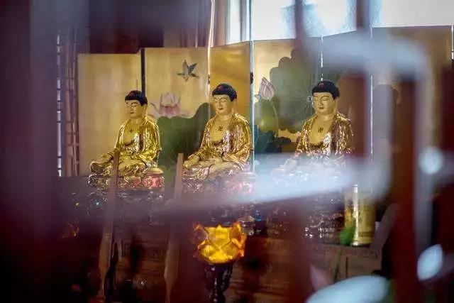 ��Ӳ��������ô�죿��̸���������ķ���