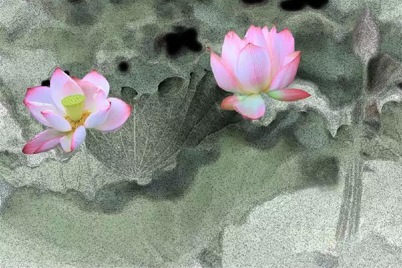 学佛必知:8种错误的拜师动机,句句直戳心里! 学佛必知:8种错误的拜师动机,句句直戳心里!