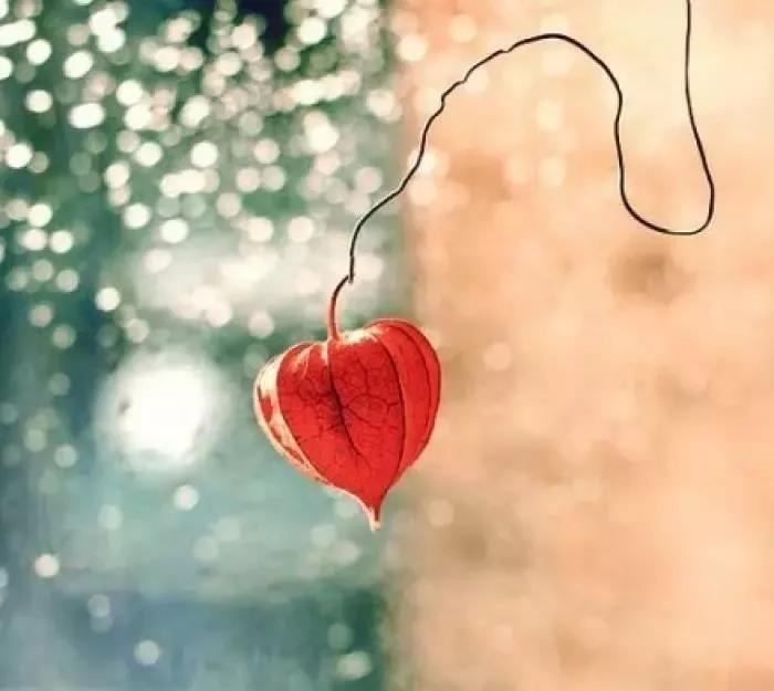 心量广大,后福无穷! 心量广大,后福无穷!