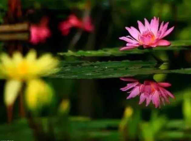 ����ת�������Ծ�ת