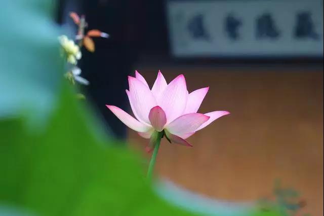 多做家务,也是在消业积福 多做家务,也是在消业积福