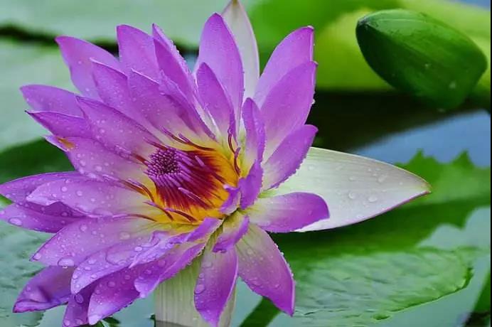 学佛人都应牢记的六则典故 学佛人都应牢记的六则典故