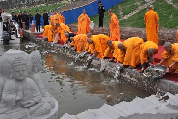 ���Ȱ���ǲ�ɱ�����ĸ�����