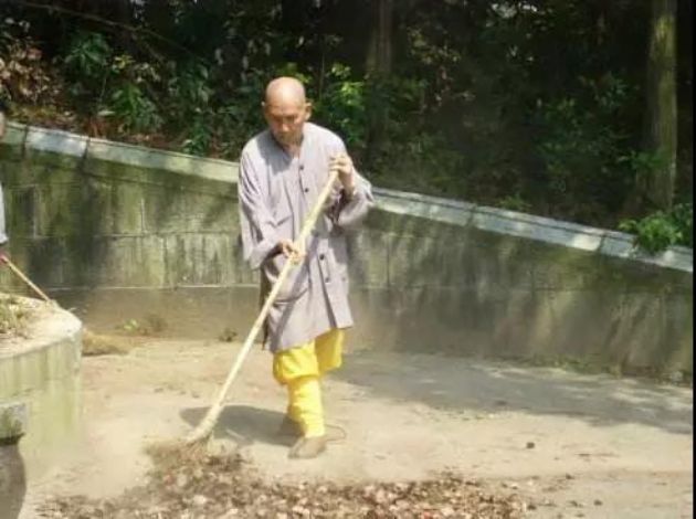 棒喝来了!佛源老和尚的禅门奇招,你悟到多少? 棒喝来了!佛源老和尚的禅门奇招,你悟到多少?