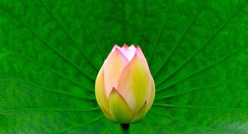 ���ʦ�����裡�������ܵ���͸֧�Լ��ĸ���