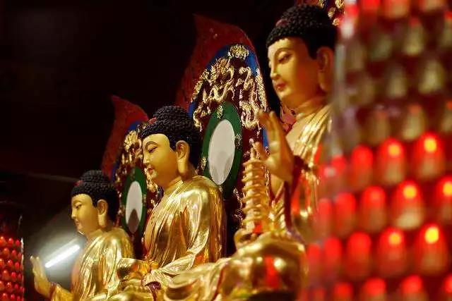 佛法在哪?在人心中;佛是谁?佛是每一个人! 佛法在哪?在人心中;佛是谁?佛是每一个人!