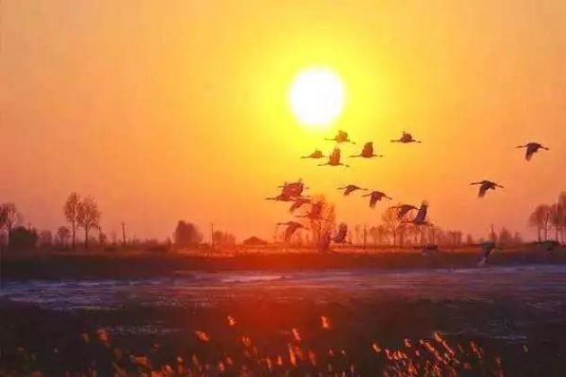 这几种情况下,千万别杀生,因果报应最为厉害 这几种情况下,千万别杀生,因果报应最为厉害