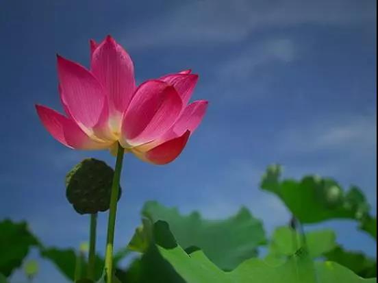 һ���������ʼ���У��ͻ��и��ֽ�ڳ���