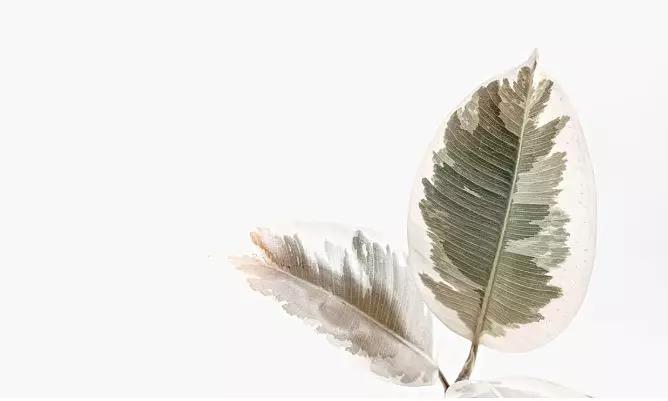 �޾����ڵ���������Ҫ����������������ſ���ȥ��������