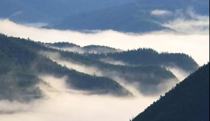 在生活中转烦恼为菩提 在生活中转烦恼为菩提