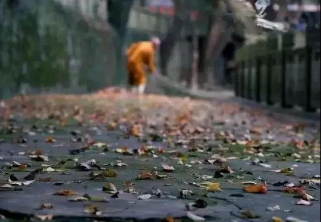 在生活中转烦恼为菩提 在生活中转烦恼为菩提