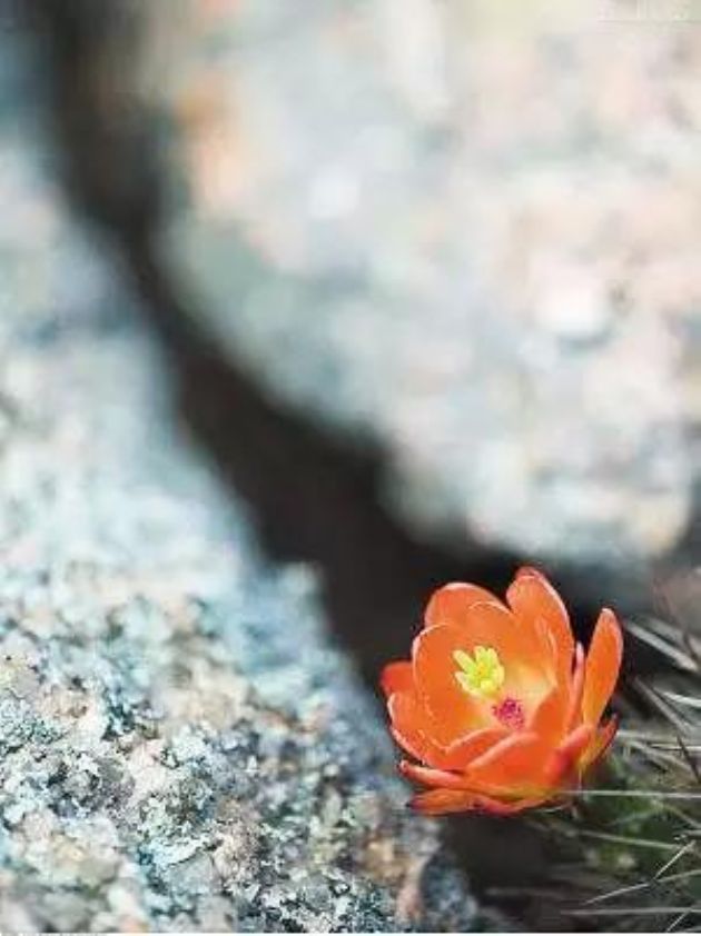 �����Ӳ��õĹ����н��ѣ�