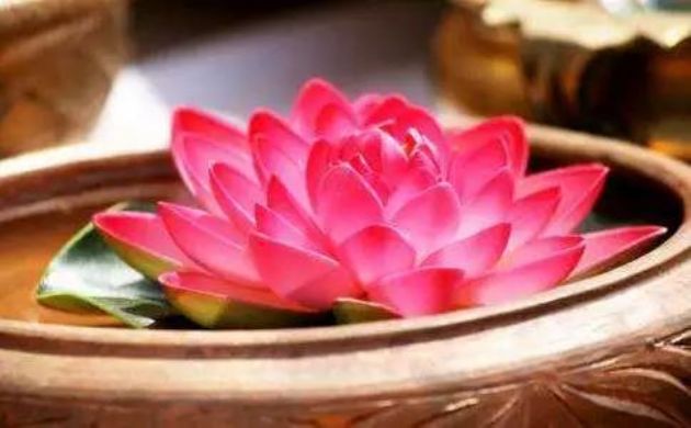 δ���������Ƿ���������������磿