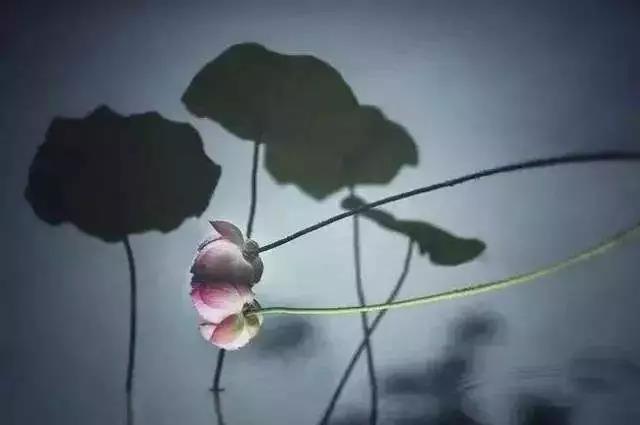 �����Ǳ��˵�Ǯ����������Լ��ĸ���