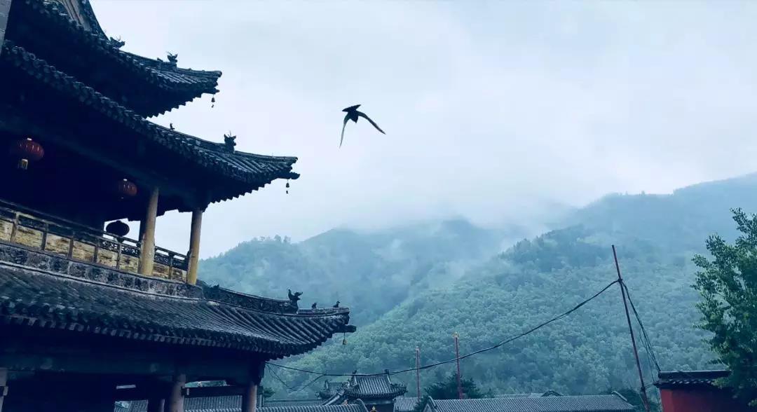 高僧们的“五台山奇遇记”:文殊菩萨会迎接每位来五台山的人 高僧们的“五台山奇遇记”:文殊菩萨会迎接每位来五台山的人