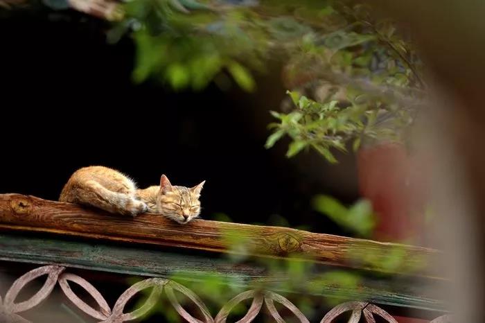 烦恼人生是解脱的最好机缘 烦恼人生是解脱的最好机缘
