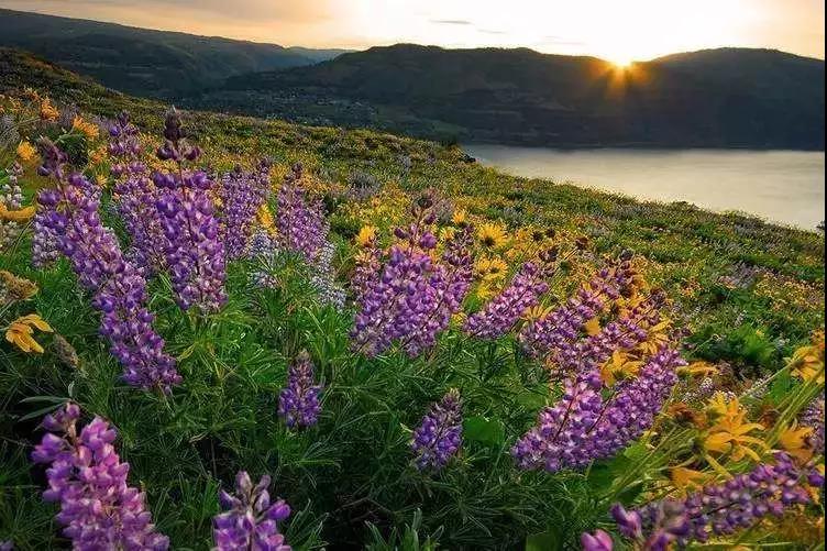 烦恼人生是解脱的最好机缘 烦恼人生是解脱的最好机缘