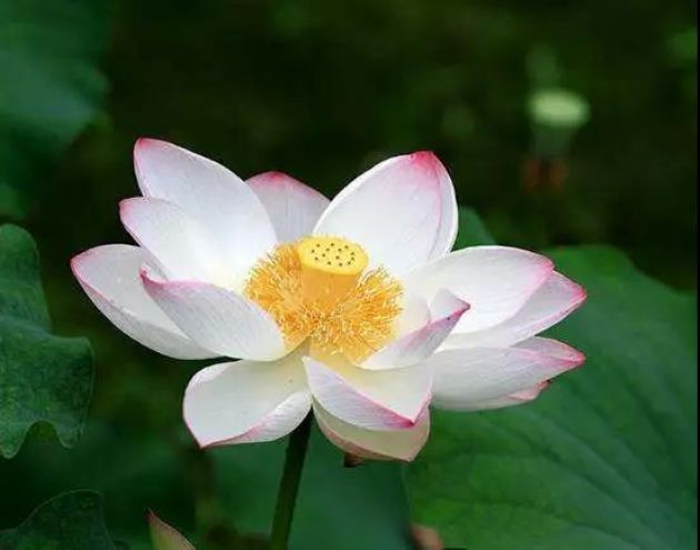 ��ɮ��¿���������������ʽǧ��ٹ�