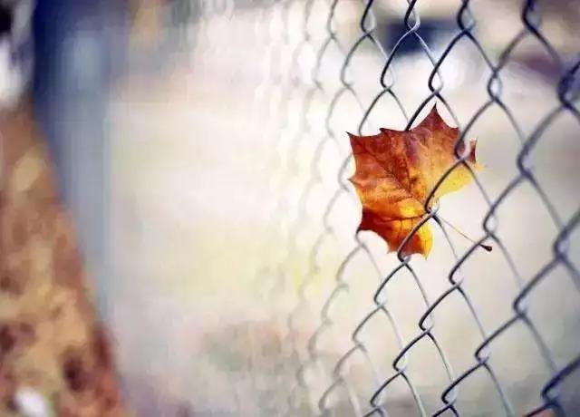 ��ɮ��¿���������������ʽǧ��ٹ�