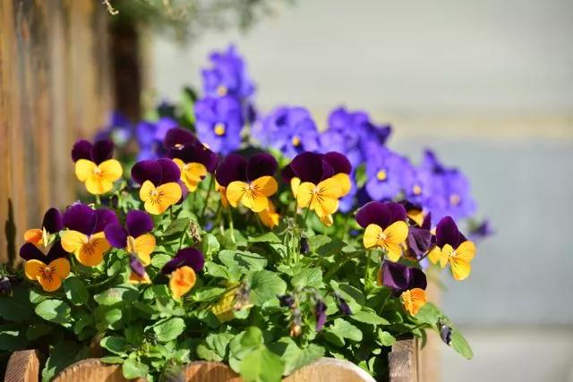 真正的佛法给人安宁,不要动不动就吓唬别人 真正的佛法给人安宁,不要动不动就吓唬别人