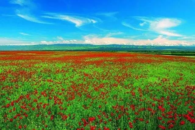 世间的天灾人祸到底是怎么来的?佛教高僧们这么说 世间的天灾人祸到底是怎么来的?佛教高僧们这么说