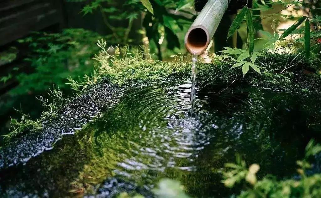 ����������ģ������Լ���ִ��