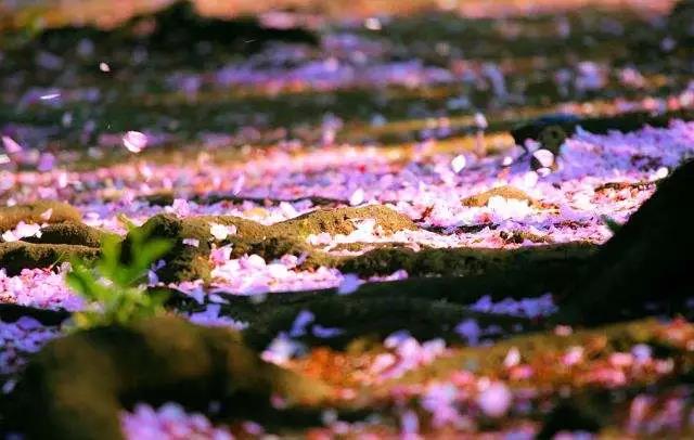 ���������ǽ��ѵ���û�Ե