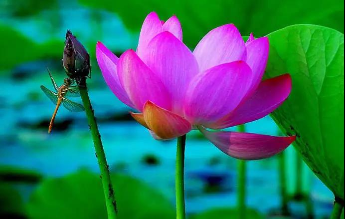 �����Ϻ��У�����֮����ʾ