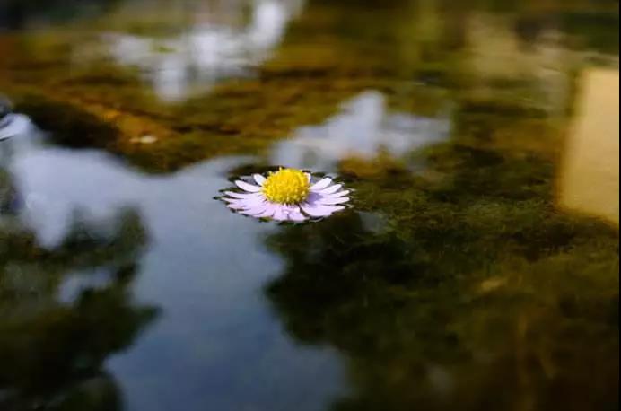 白云禅师棒喝佛油子:说得一丈_不如行得一尺 白云禅师棒喝佛油子:说得一丈_不如行得一尺