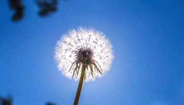 ��ҵ�Ϻ��أ�������Ƹ�����������ʶ����ļ������