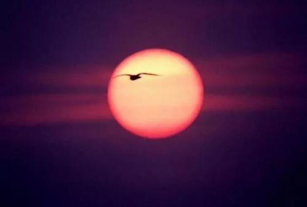 ��ҵ�Ϻ��أ�������Ƹ�����������ʶ����ļ������