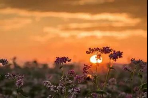 ��ȷ��ʶ_��_��ҵ����_��