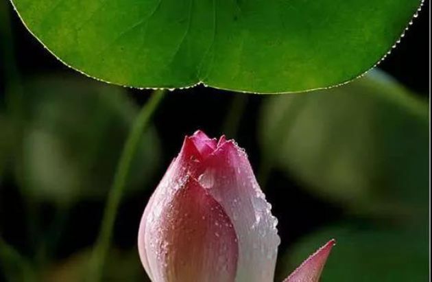 ��ȷ��ʶ_��_��ҵ����_��