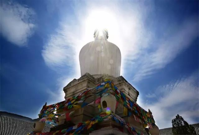 ǰ����̨�޵��ˣ������������ֻصĹ��£�