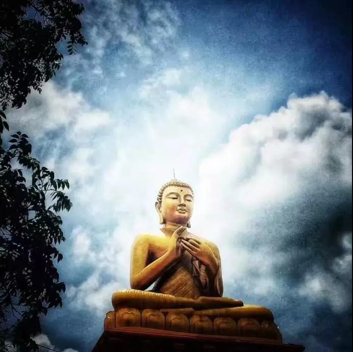 ���������ŷ���Щ���鲻Ҫ����