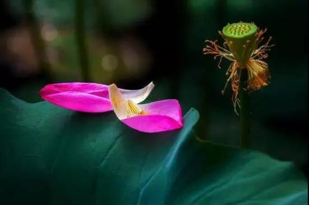 ���������ŷ���Щ���鲻Ҫ����