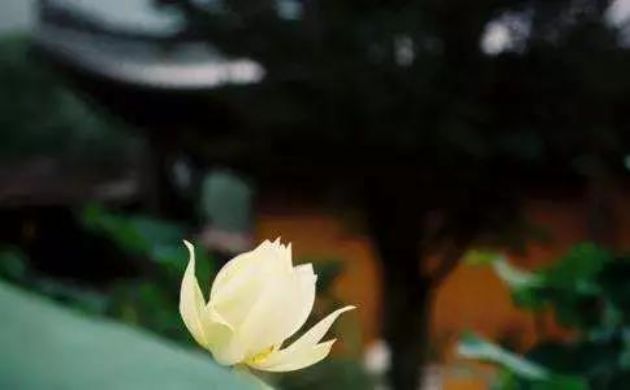 痛苦,是因为在用错误的方式生活 痛苦,是因为在用错误的方式生活