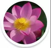 ���Ƕ������˵ĺ��ӣ����ӵ���ؼң�