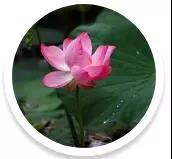 ���Ƕ������˵ĺ��ӣ����ӵ���ؼң�