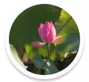 ���Ƕ������˵ĺ��ӣ����ӵ���ؼң�