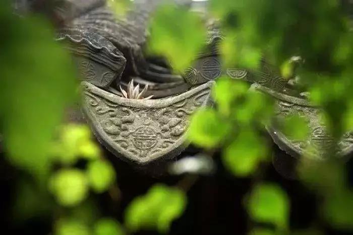 真正的因果内涵,不见得人人能懂 真正的因果内涵,不见得人人能懂