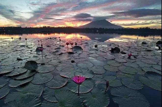 真正的因果内涵,不见得人人能懂 真正的因果内涵,不见得人人能懂